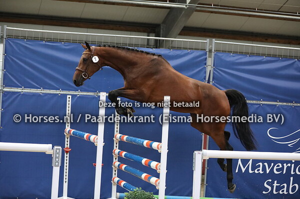 7 Marley van Edelvrouw II