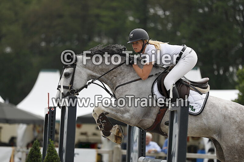 Anoek van der Pluijm