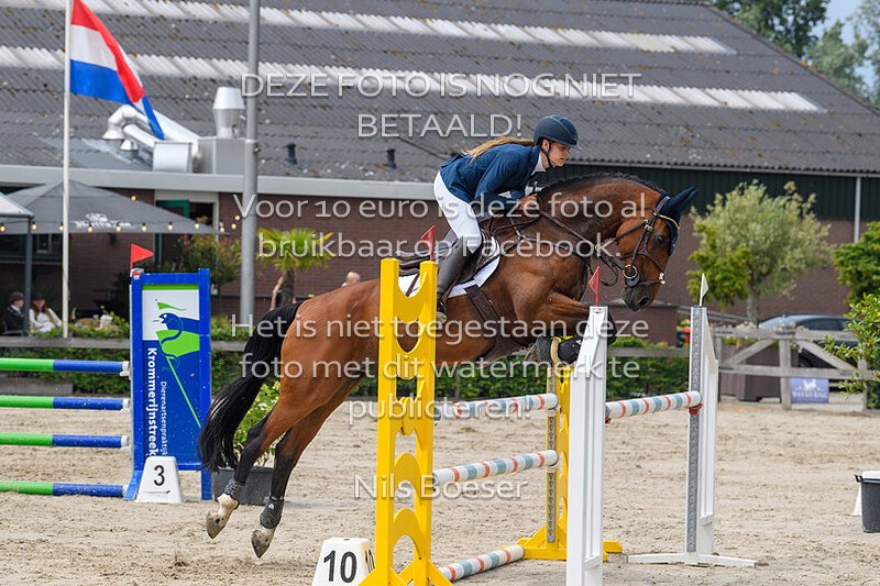 8 Klasse 110 Paarden