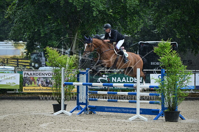 Leon Kuypers - O Nino Gold