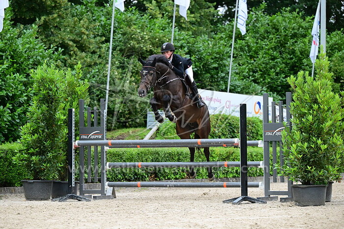 Jasper van der Vuurst de Vries - L'etude