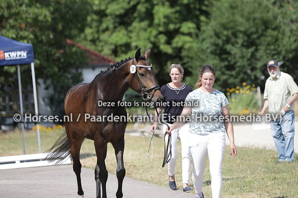36 Olivia (Ferdinand x Furstin van Hof Olympia)