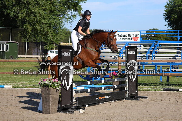 Oefenspringen 29-6 paarden