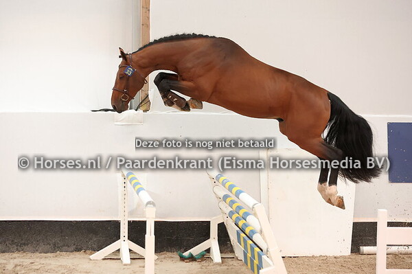 27-09-25 HK Zangersheide