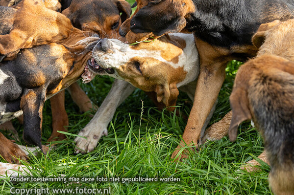 Slipjacht Elten 2025 - JVS