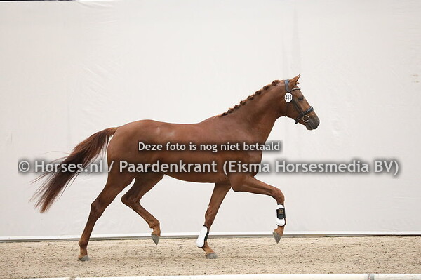 481 In Style x Bordeaux