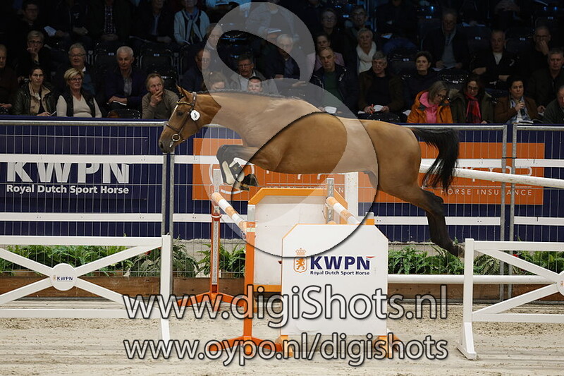 Rodeo V G v. Aganix Du Seigneur - 005