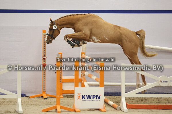 79 (Emerald van't Ruytershof x Quinar)