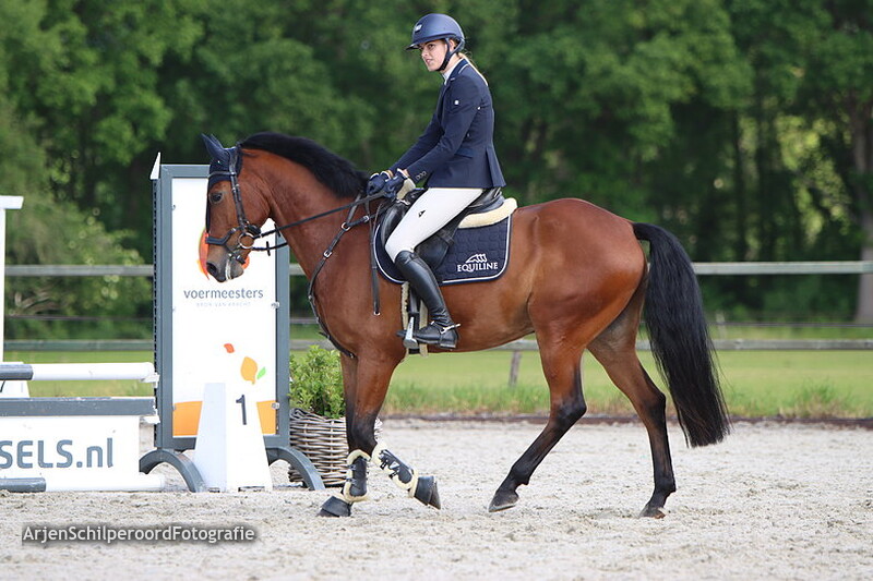 Hippisch Festijn PSV Polarfurst Pony's 80cm