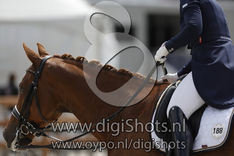 Cordillio van de Kempenhoeve