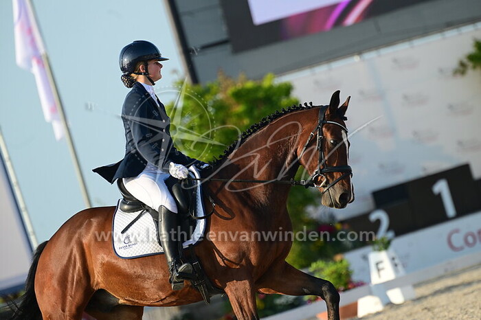 Romy van Meurs - Newton Knight