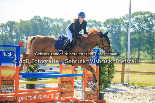 Heldense Ruiterdagen Paarden 100cm 12-05-24