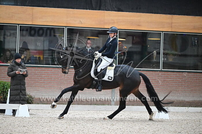 Noa van de Wetering - Pocahontas VDW