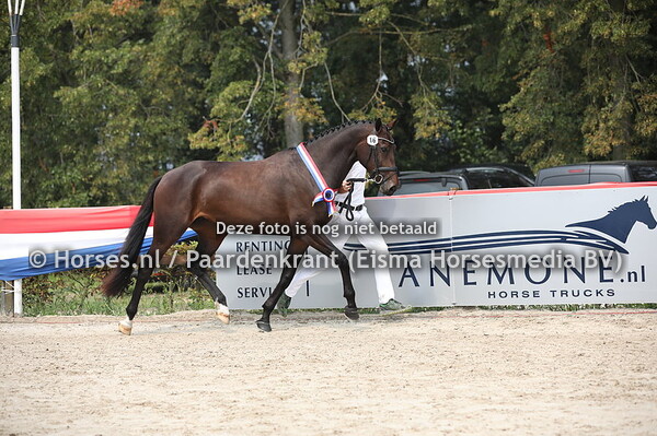 16 Lady di Loma (Cape Coral RBF Z x Akyloma v. Landor S)