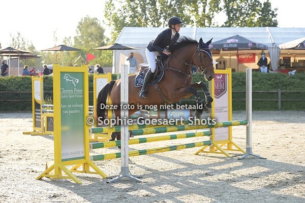 Paarden Clear Round 80