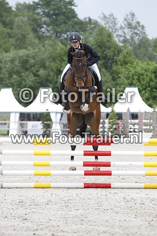 Yvonne Nuvelstijn - Groen