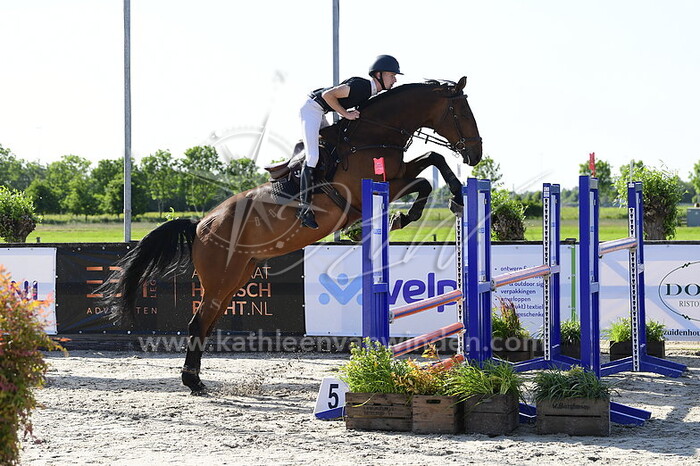 Brian Martens - Indiana Jones