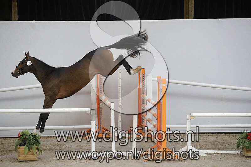 Max v. Grand Slam VDL