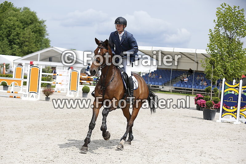 Dennis van den Brink