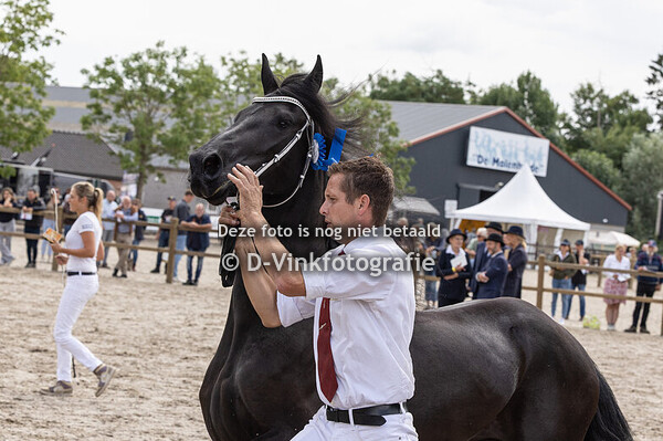 101. Schoonheid van Zomerstaete