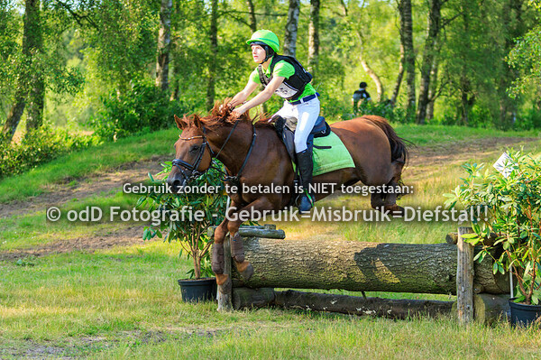 SGW Ede Ponys B en L 23-06-24