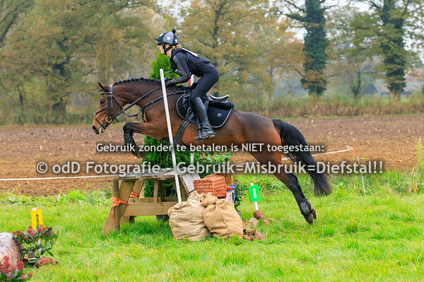 Eventing Rekken Paard B Pony L 09-11-24