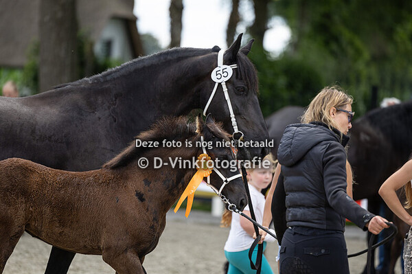 55. Diede fan Melman