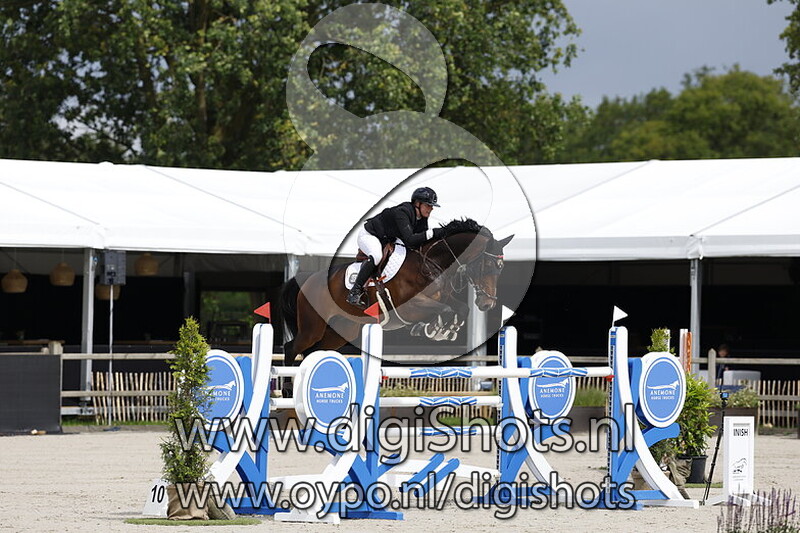 Jancoulavsco Fortuna