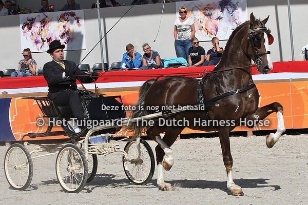 Kapitaal (Atleet x Manno)