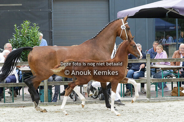 029 - URAMBO OLYMPUS HS X ATLEET C.G.J. HESSELINK, AMBT DELDEN