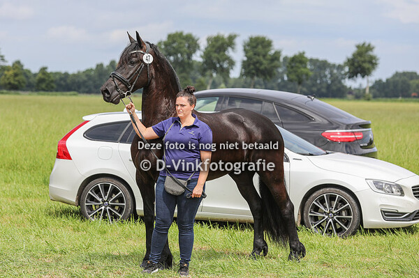  47. Femm PD vd Swarte Proenker