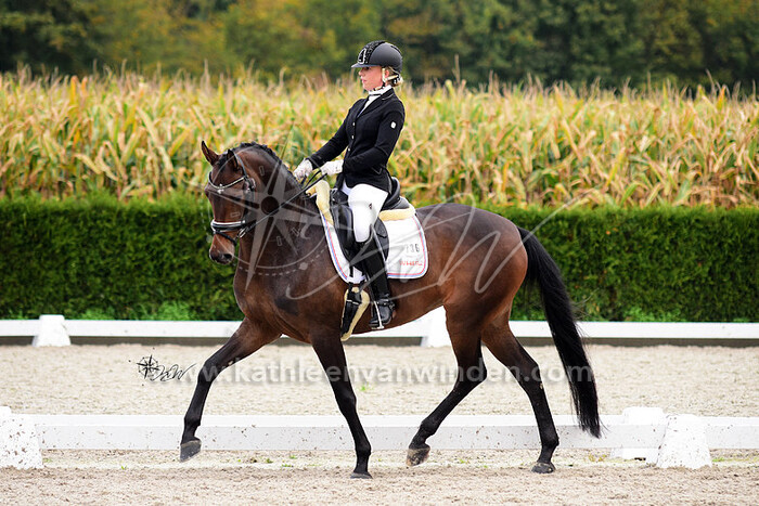 2019-10-13 Neerijnen