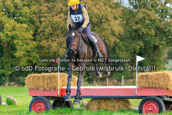 Eventing Barchem Oefencross 27-10-24