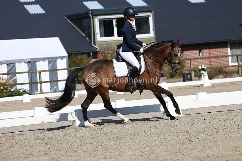 405_Z.STER_B&L_TOT12.00_14SEPT