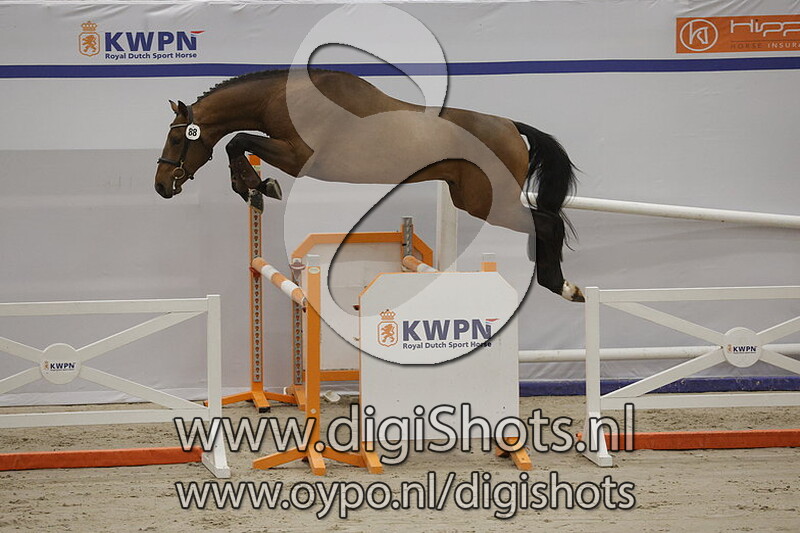 Vital Van Hd v. Kasanova De La Pomme - 088