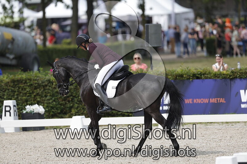 Ring 6 Klasse Z2 paarden vanaf 14.31 (041)