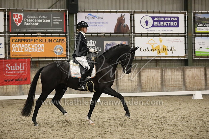 Cynthia Eggenkamp - Noble Romance