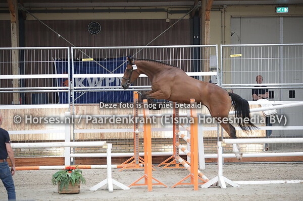 284 Mulan (Malibu TN x Always v. Vancouver)