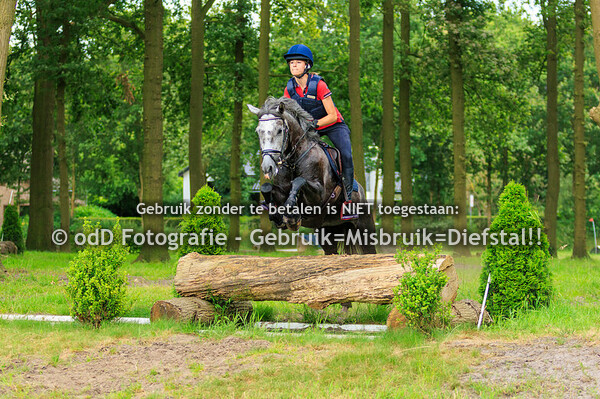 Trainingen Margo Millstream Groep 5 16.00  29-06-24