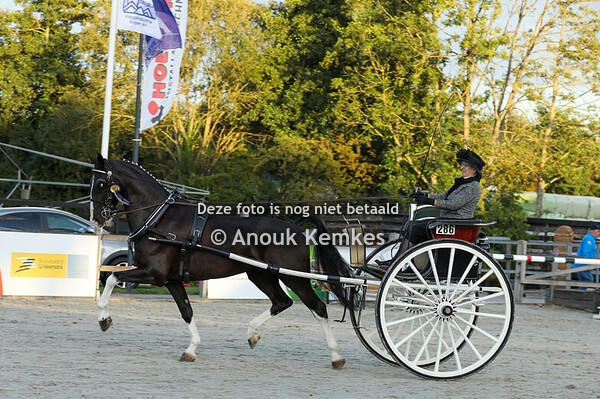 TP Dames ( ereronde )