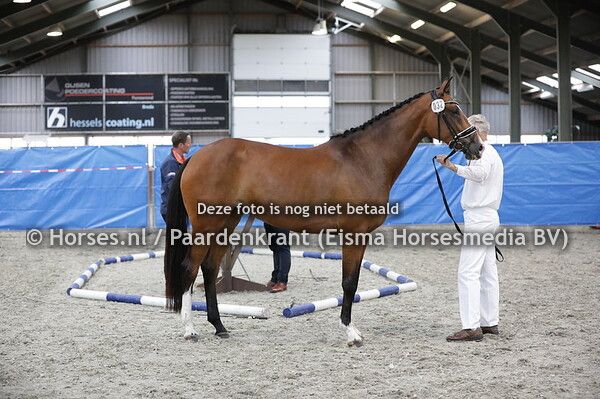 32 Joba ND )Chagall x Nicola v. Amethist)