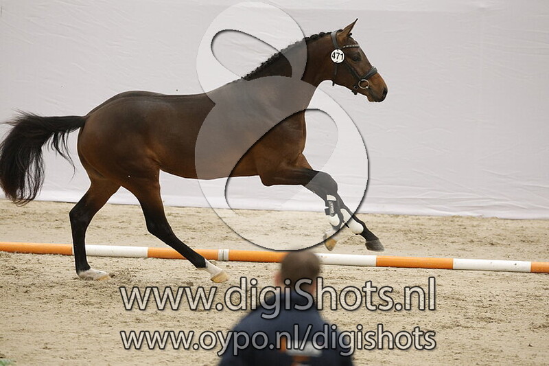 Serefe Salut JCS v. Next Level