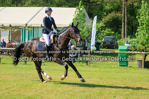 CH Maasduinen Well 60cm 20-05-23