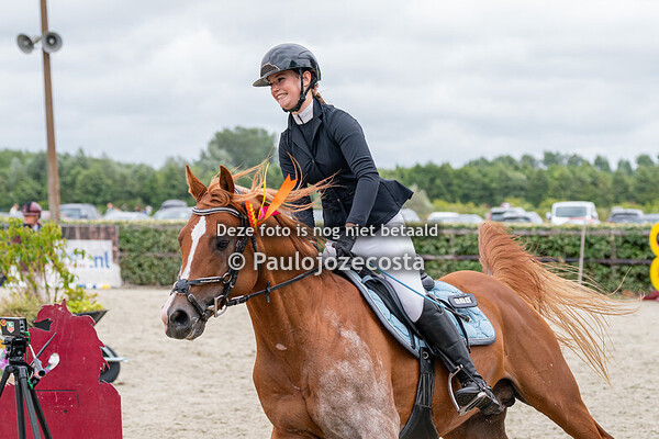 NH Regionals 80cm ponys