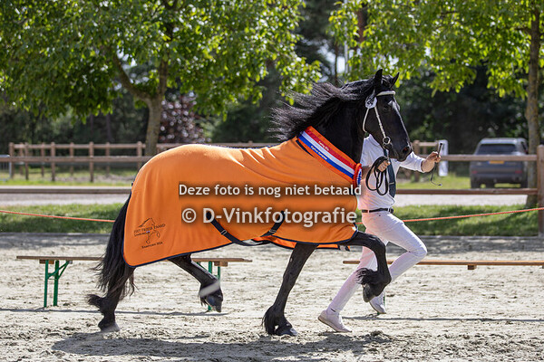 24. Qpida van de Demro Stables