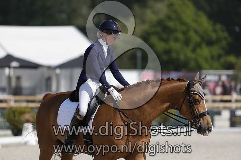 Sunny de la Ferme Rose