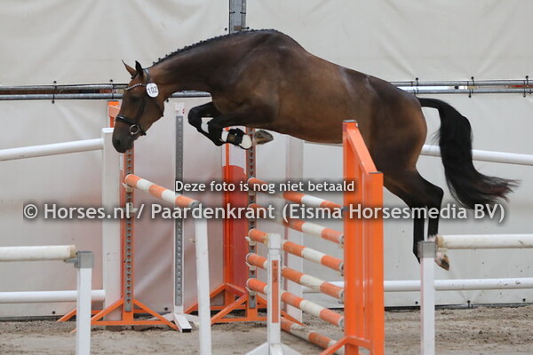 102 La Luna (Hotspot x Heart of Flame v. Namelus R) 1