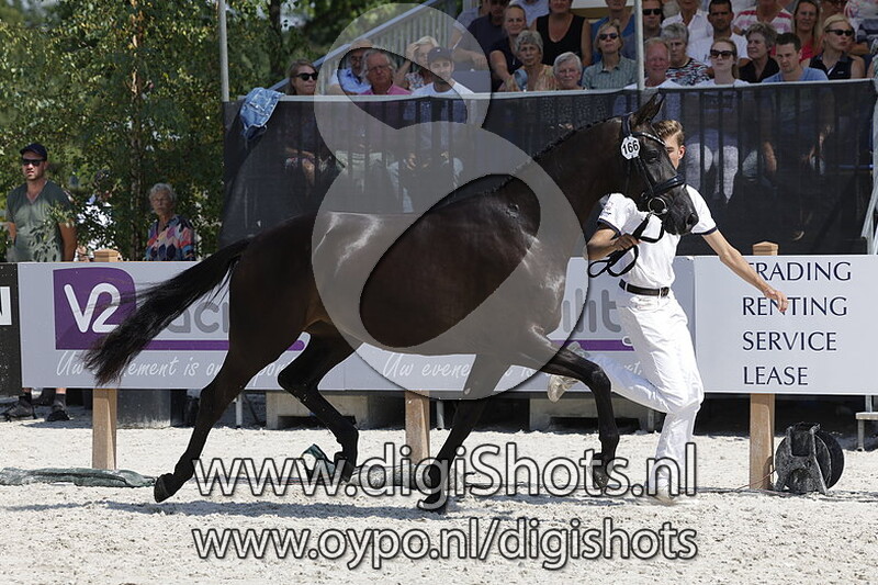 Pleione v. Lennox US