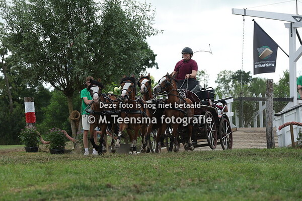 Paardendagen Driezum-Wâlterswâld 2025