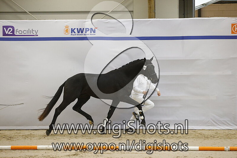 Replay KK v. Nesnarf Macaron - 490